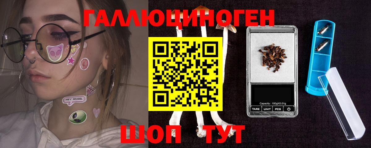 Псилоцибиновые грибы Psilocybine cubensis Балашов