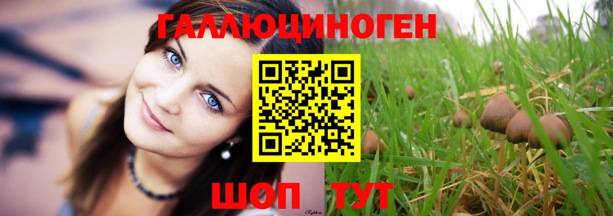 Галлюциногенные грибы мухоморы  Вход с VPN  Псилоцибиновые грибы Psilocybe  Балашов 